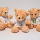 Teddy Bear with Personalised T-Shirt - Late Order