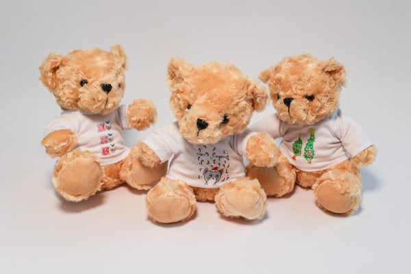 Teddy Bear with Personalised T-Shirt - Late Order